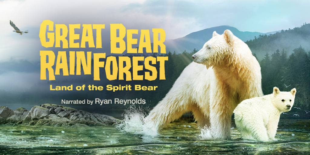 great bear rainforest movie poster